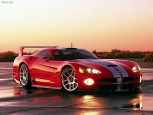 Dodge Viper Wallpaper